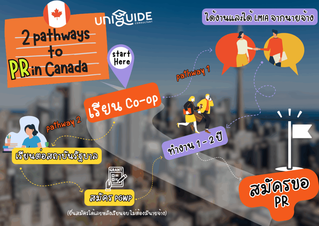 study and work co-op program